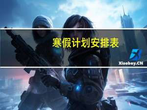 寒假计划安排表