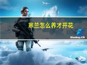 寒兰怎么养才开花