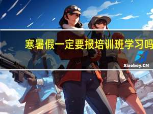 寒暑假一定要报培训班学习吗