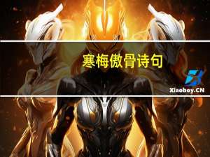 寒梅傲骨诗句