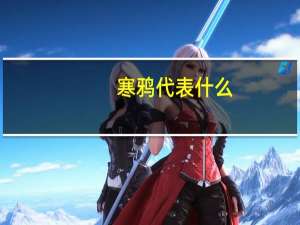 寒鸦代表什么