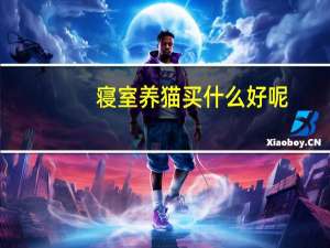 寝室养猫买什么好呢