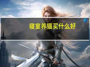 寝室养猫买什么好