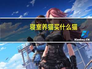 寝室养猫买什么猫