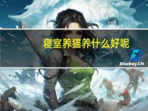 寝室养猫养什么好呢