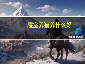 寝室养猫养什么好