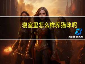 寝室里怎么样养猫咪呢