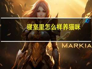 寝室里怎么样养猫咪