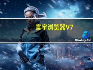 寰宇浏览器 V7.0.8 官方最新版（寰宇浏览器 V7.0.8 官方最新版功能简介）