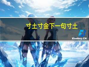 寸土寸金下一句 寸土