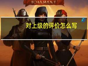 对上级的评价怎么写