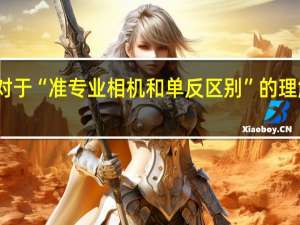 对于“准专业相机和单反区别”的理解问题。