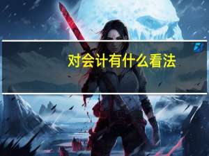 对会计有什么看法