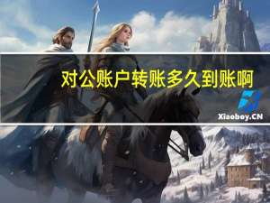 对公账户转账多久到账啊