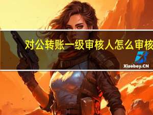 对公转账一级审核人怎么审核