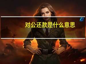 对公还款是什么意思
