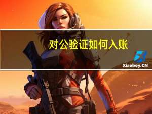 对公验证如何入账