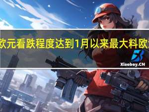 对冲基金对欧元看跌程度达到1月以来最大 料欧洲央行或暂停加息