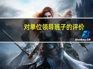 对单位领导班子的评价（对本单位领导班子评价）
