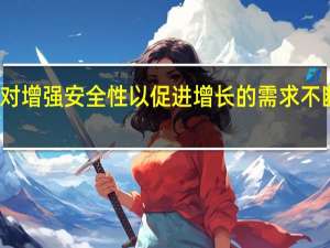 对增强安全性以促进增长的需求不断增长