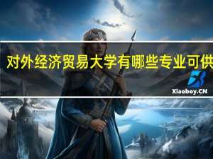 对外经济贸易大学有哪些专业可供选择