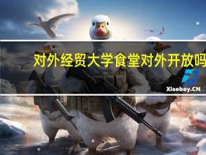 对外经贸大学食堂对外开放吗