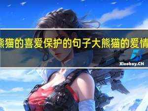 对大熊猫的喜爱保护的句子 大熊猫的爱情我们来守护
