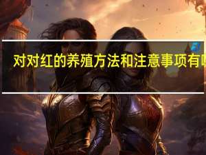 对对红的养殖方法和注意事项有哪些