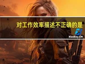 对工作效率描述不正确的是