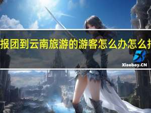 对已经报团到云南旅游的游客怎么办 怎么报团云南旅游