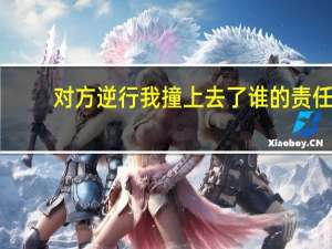 对方逆行我撞上去了谁的责任
