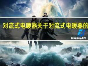 对流式电暖器 关于对流式电暖器的介绍