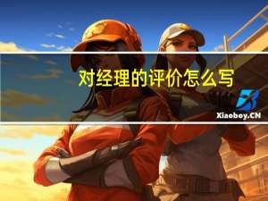 对经理的评价怎么写