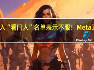 对被列入“看门人”名单表示不服！Meta正式提起上诉