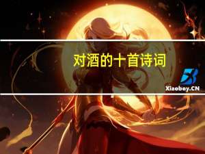 对酒的十首诗词