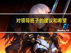 对领导班子的建议和希望（对领导班子的建议）