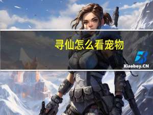 寻仙怎么看宠物