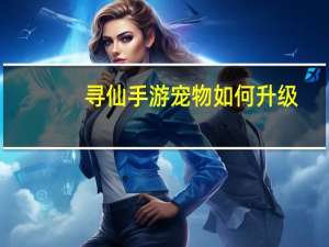 寻仙手游宠物如何升级