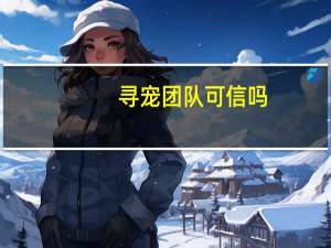 寻宠团队可信吗