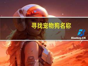 寻找宠物狗名称