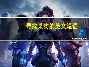 寻找某物的英文短语