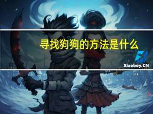 寻找狗狗的方法是什么
