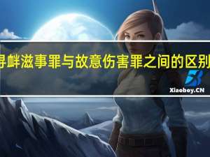 寻衅滋事罪与故意伤害罪之间的区别是什么