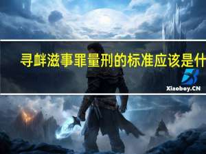 寻衅滋事罪量刑的标准应该是什么