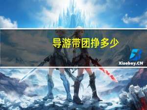 导游带团挣多少