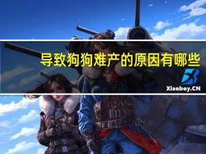 导致狗狗难产的原因有哪些