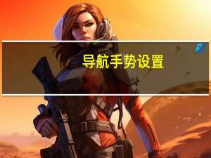 导航手势设置（导航手机推荐）