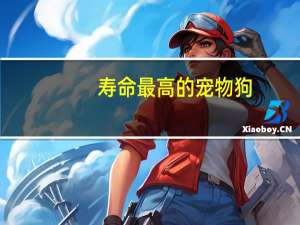 寿命最高的宠物狗