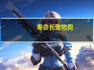 寿命长宠物狗