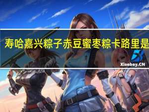 寿哈 嘉兴粽子 赤豆蜜枣粽卡路里是多少